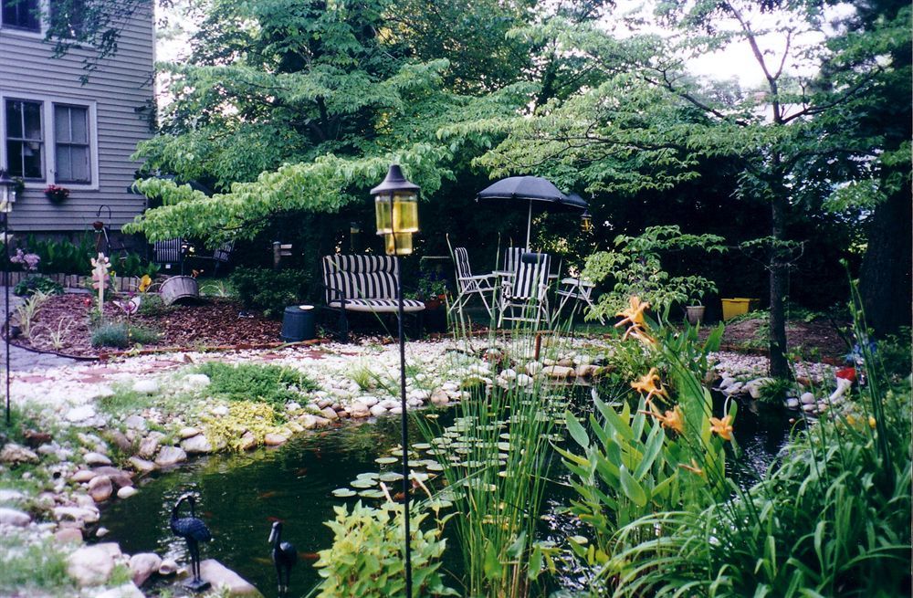 The Twin Magnolias Bed & Breakfast Роаноук Рапидс Екстериор снимка